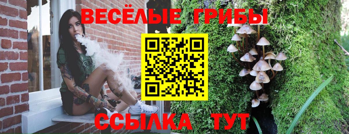 Кашира  Псилоцибиновые грибы Cubensis  Вход с VPN 